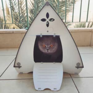 דייזי בית לחיות קטנות לבית ולחצר